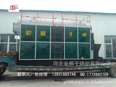 生物質蒸汽鍋爐