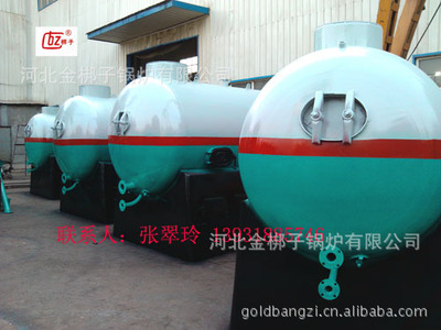 生物質(zhì)供暖鍋爐