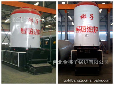 供应导热油炉 立式机烧生物质导热油炉 60-300万大卡导热油炉